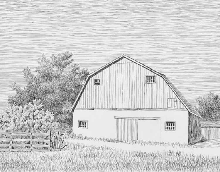 Barn and Prickly Pears, near Woodland, California