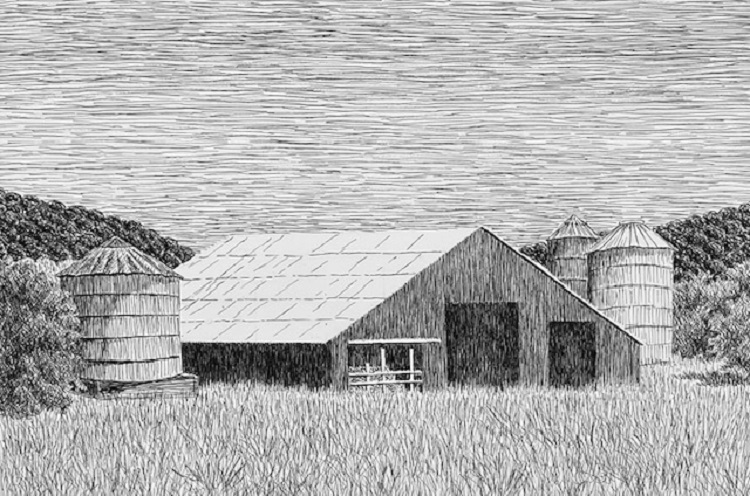 Barn and Silos, Dunnigan Hills