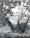 Overlooking Green Valley, Rockville Hills Regional Park