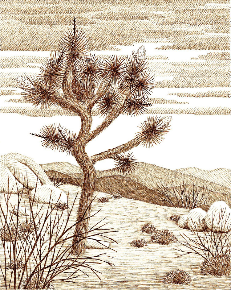 Joshua tree