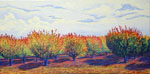Apricots, Fresno County