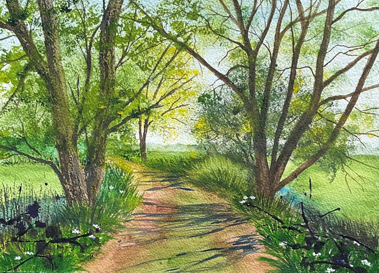 Beccles Marsh, The Broads National Park, England