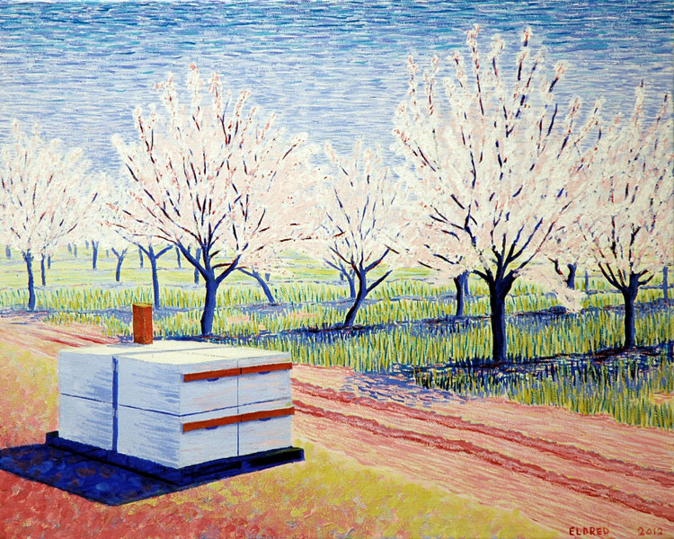 Almonds and beehives
