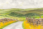 Buttertubs Pass, Yorkshire Dales National Park, England