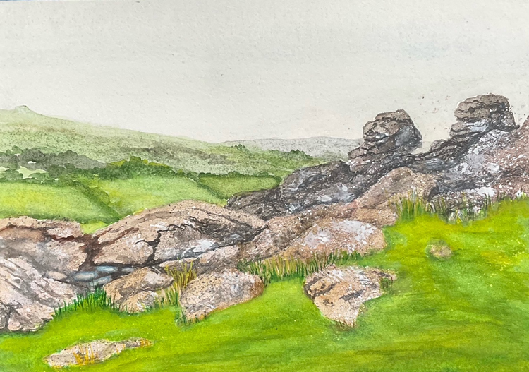 Hound Tor, Dartmoor National Park, England