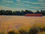 Wheat stubble near Davis, California