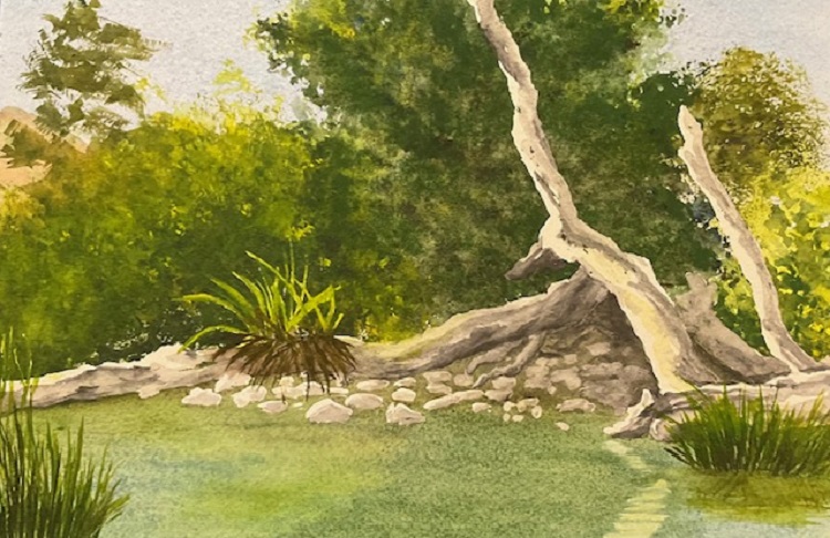 Downed Tree, Putah Creek