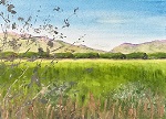Berryessa Gap from Garnett Lane, Solano County, California
