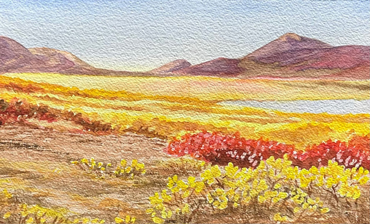 Tundra, Gates of the Arctic NP, Alaska