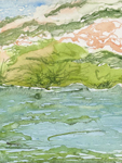 Green River (Putah Creek, Winters, California)