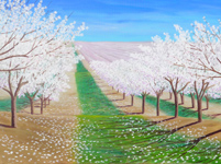 Hilltop View (Almond Orchard in Spring)