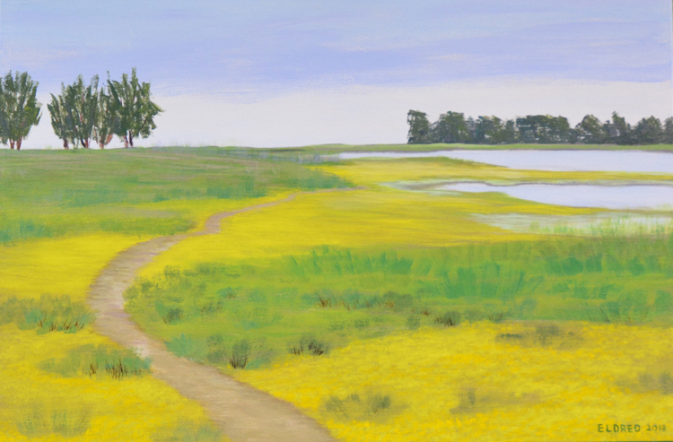 Jepson Prairie, Solano County