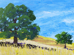 Oak Tree at Lagoon Valley Park, Vacaville, California
