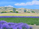 Lavender Harvest