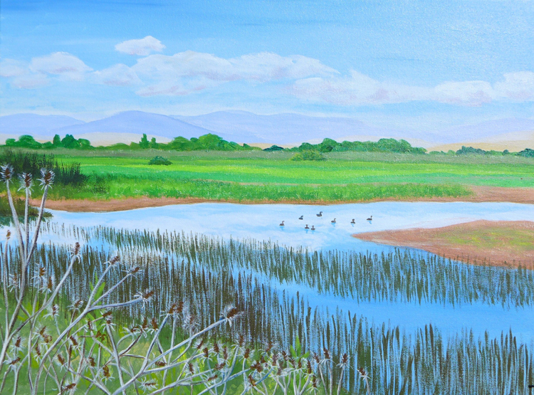 Springtime at Logan Creek, Sacramento National wildlife Refuge