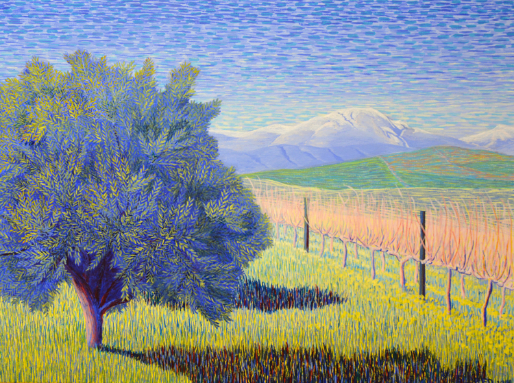 Olive and vines near Cape Town