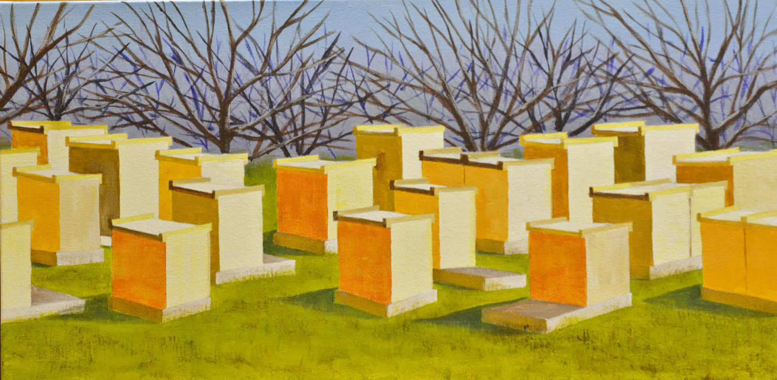 Orange Beehives, Solano County