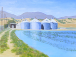 Rice Paddies and Silos, Glenn County