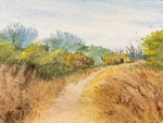Fall colors along Putah Creek, near Old Davis Road,Davis, California
