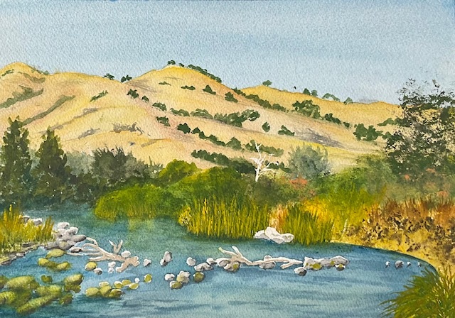 Hills above Putah Creek