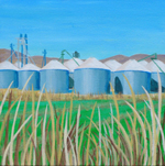 Rice Fields and Silos near Maxwell, California