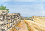 Ridgeline (Hadrian's Wall), Northumberland National Park, England
