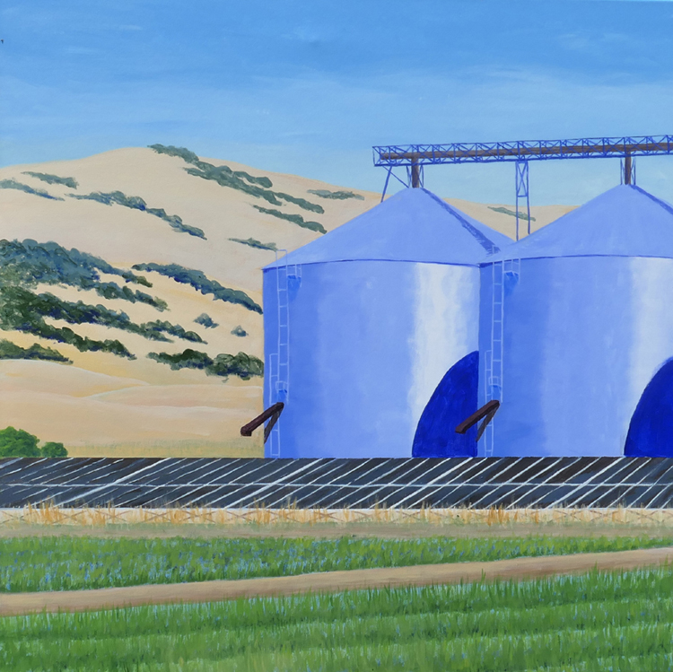 Rice Silos and Solar Panels, Colusa County