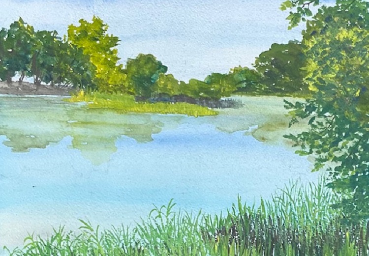 Putah Creek, South Fork Preserve, Davis, California
