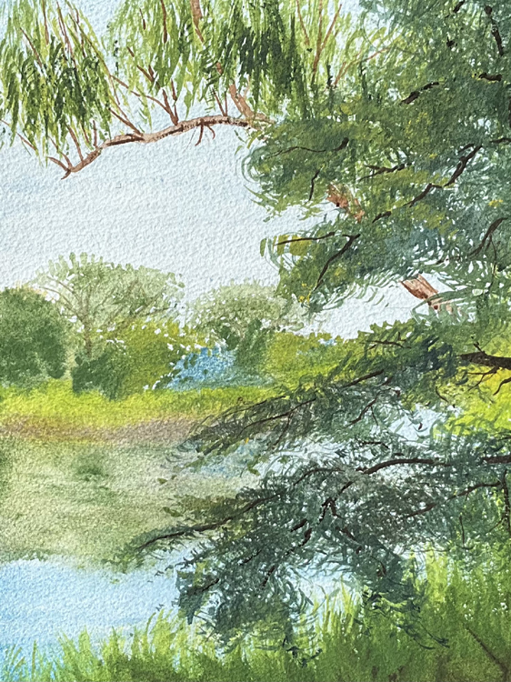 Putah Creek South Fork Preserve
