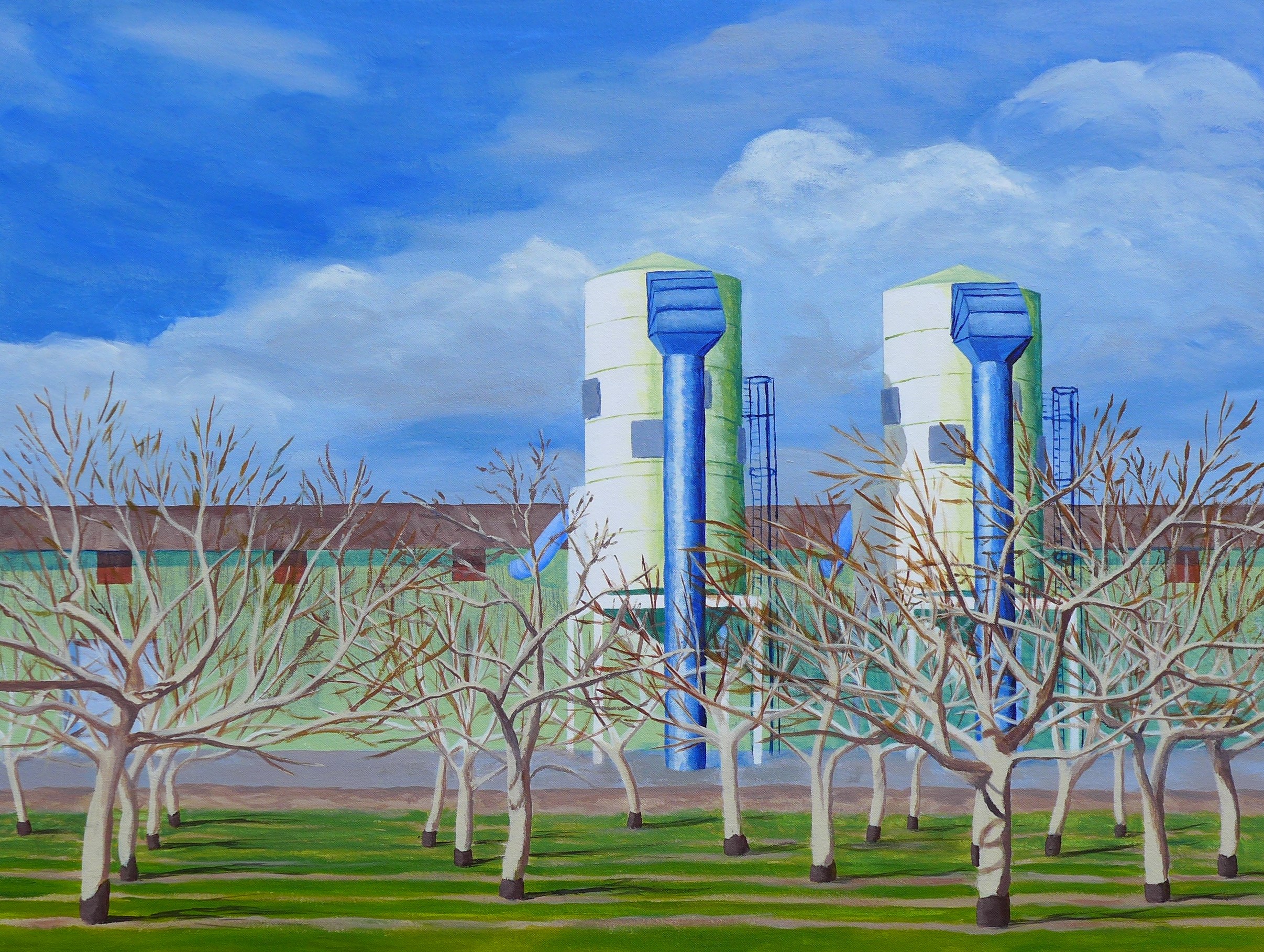 Walnut Orchard and Nut Dryers