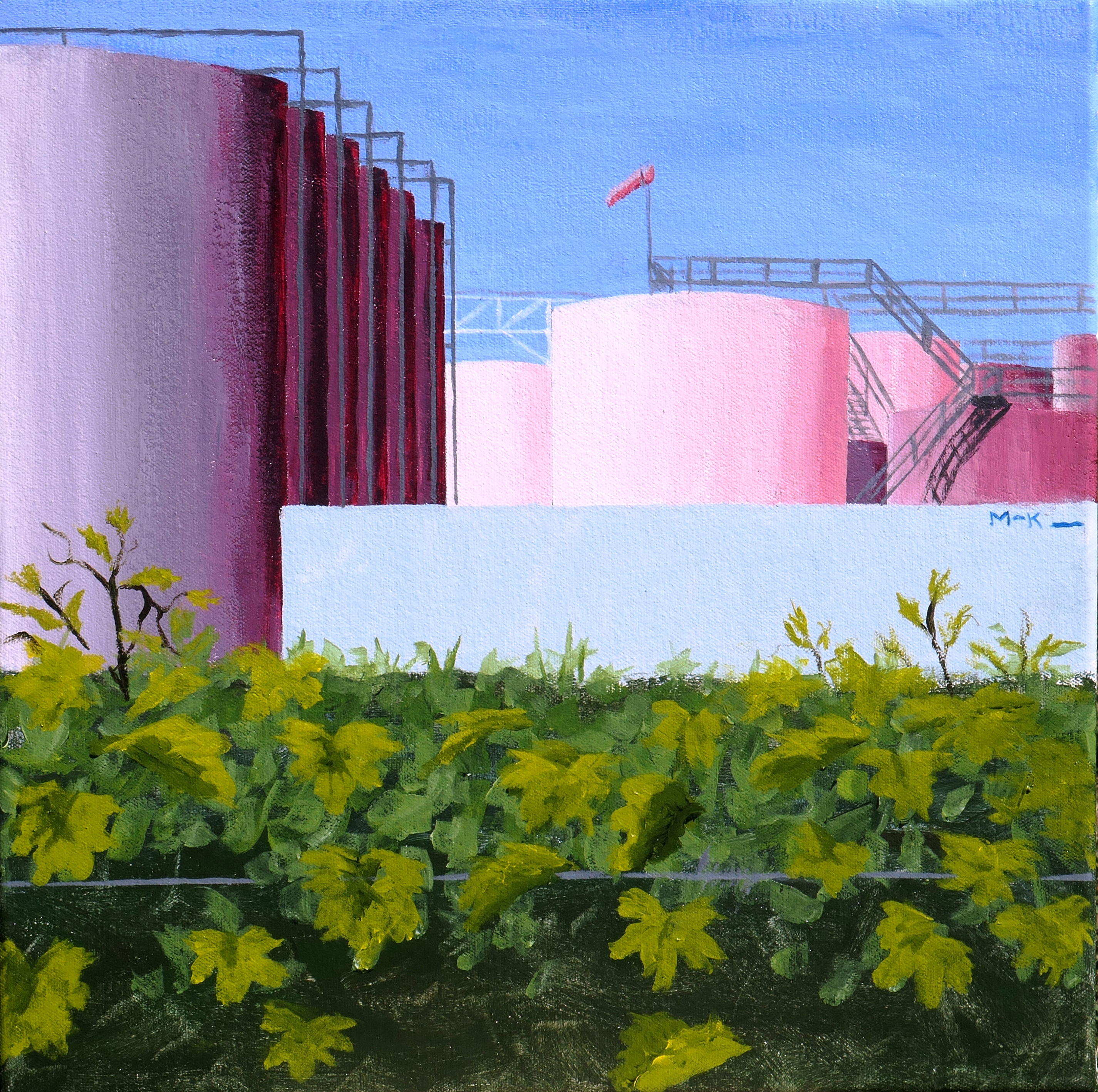 Vineyard with Wine Vats, San Joaquin County, California