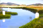 Estuary Landscape