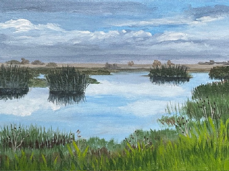 Yolo Bypass 10:35 One Morning in November