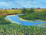 New growth, Yolo Basin, California