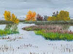 Yolo Bypass, November Morning
