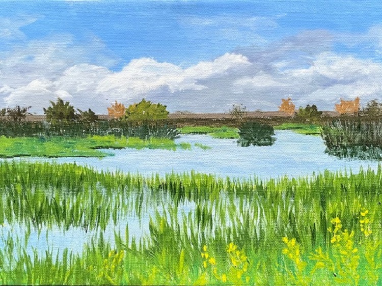 Yolo Bypass, 10:32 One November Morning