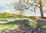 Wharfedale Farm, North Yorks, England